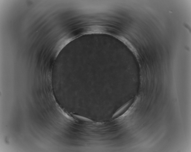 X0000097501337200803071753