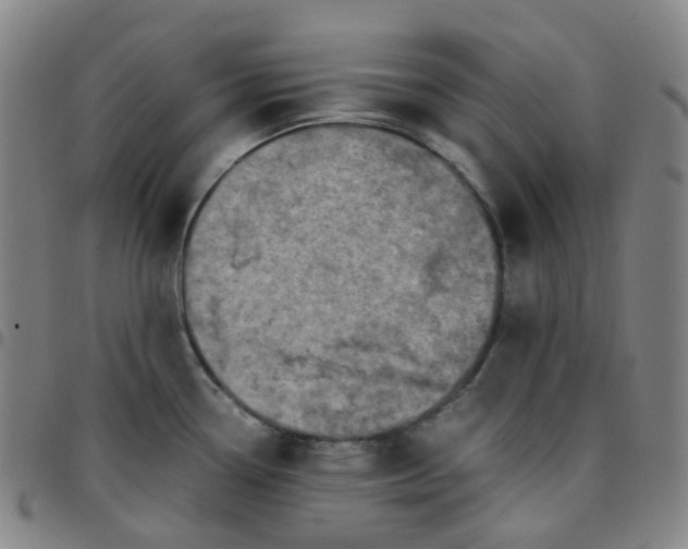 X0000097501338200803071753