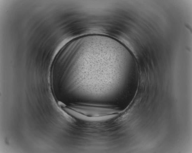X0000097501339200803071753