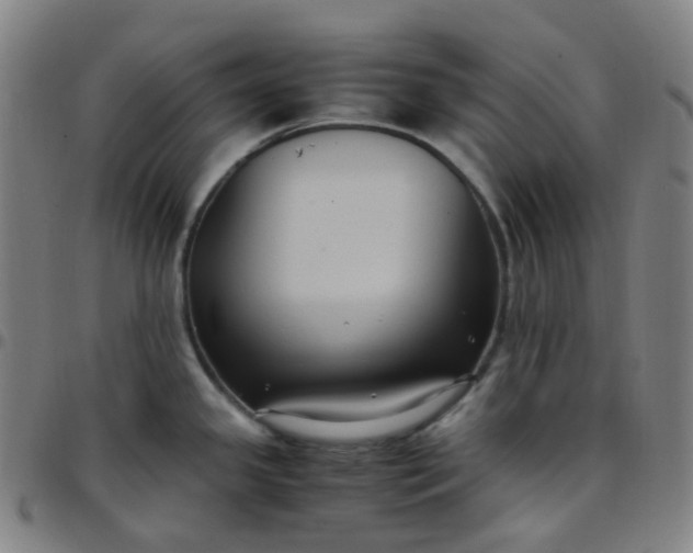 X0000097501341200803071753