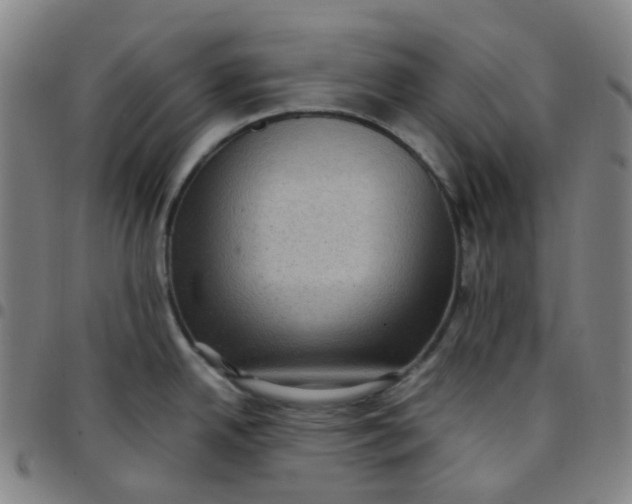 X0000097501342200803071753