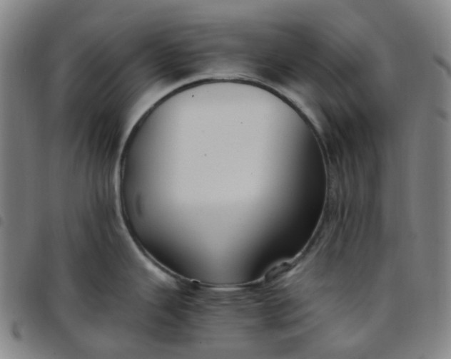 X0000097501343200803071753