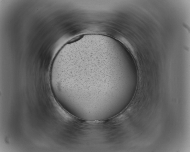 X0000097501344200803071753