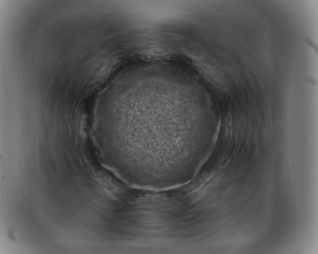 X0000097501346200803071752