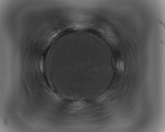 X0000097501348200803071752