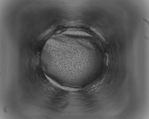 X0000097501350200803071752
