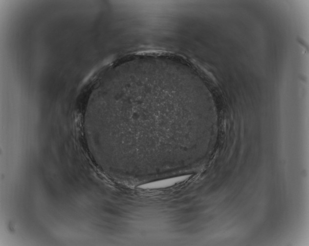 X0000097501351200803071752