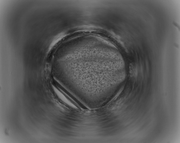 X0000097501352200803071752