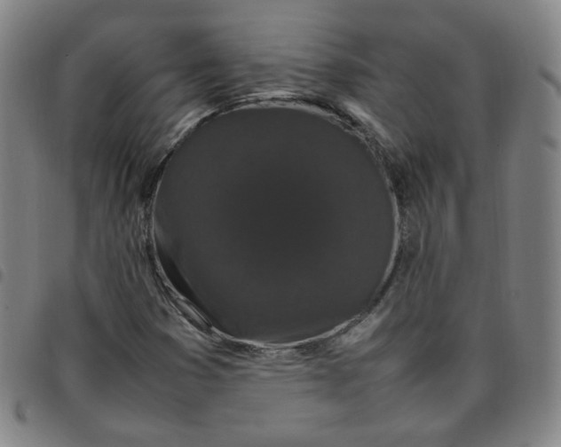 X0000097501353200803071752