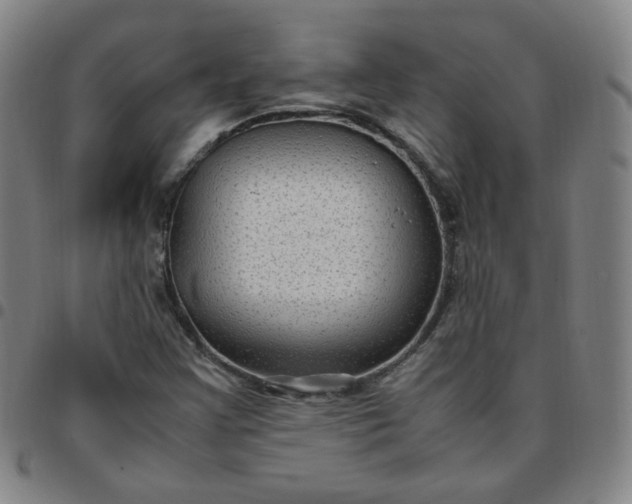 X0000097501355200803071752