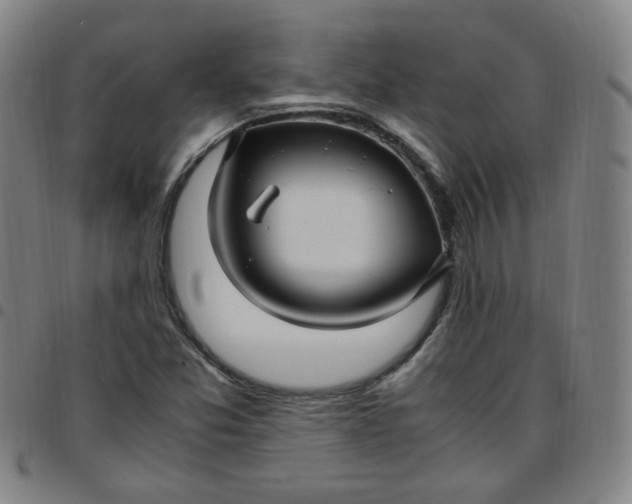 X0000097501357200803071752