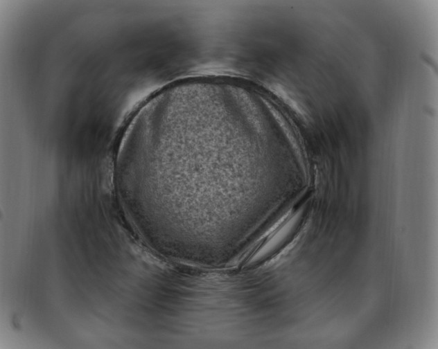 X0000097501358200803071752