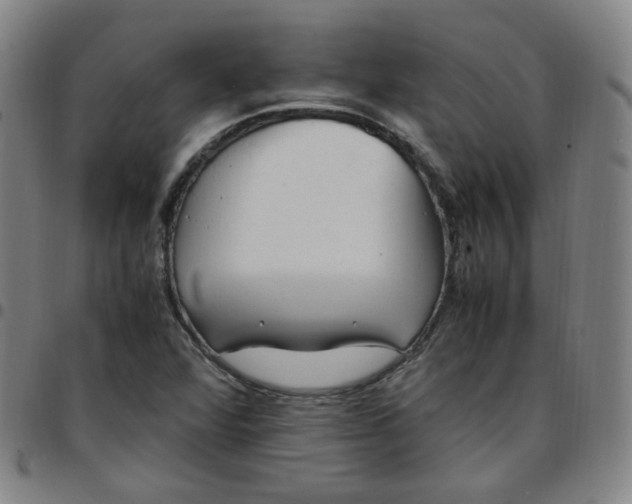 X0000097501360200803071752