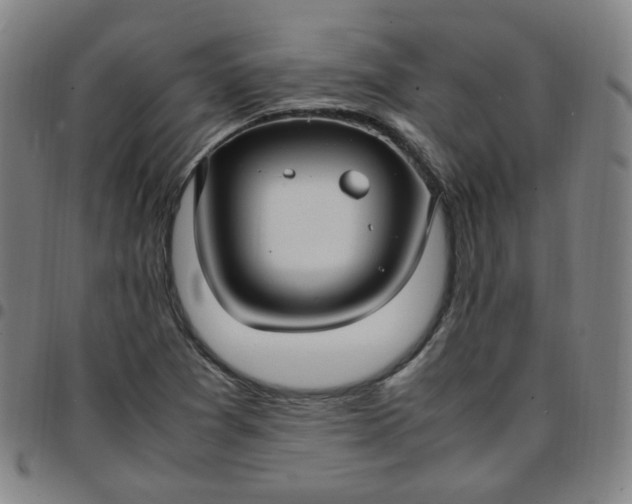 X0000097501361200803071752