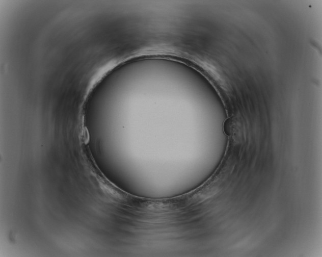 X0000097501366200803071752