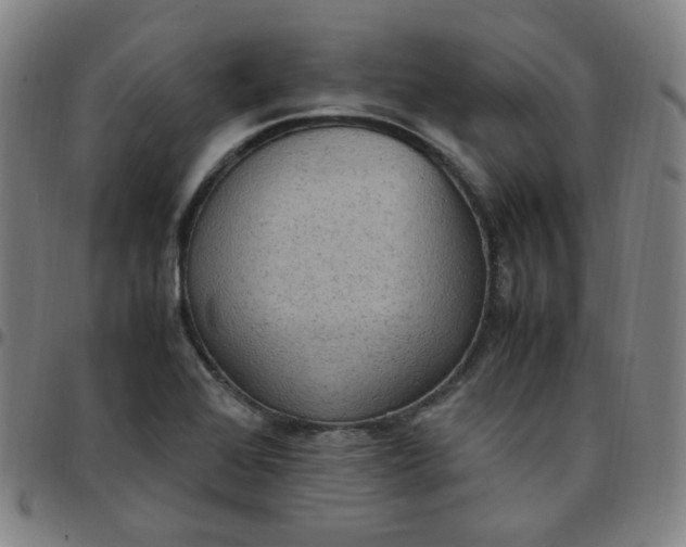 X0000097501368200803071752