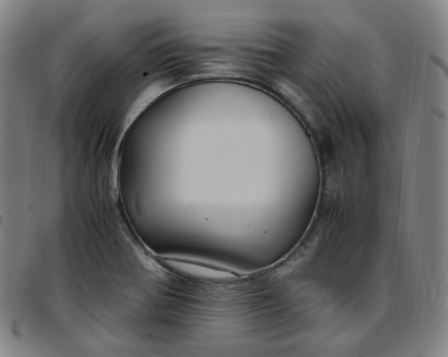 X0000097501370200803071752