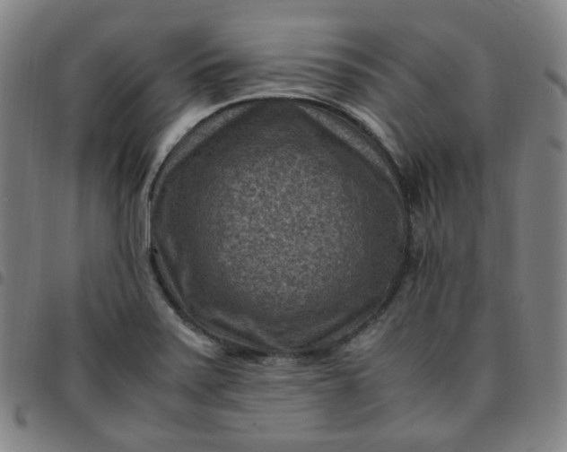 X0000097501371200803071752