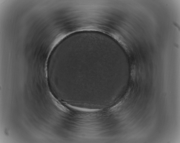 X0000097501372200803071752