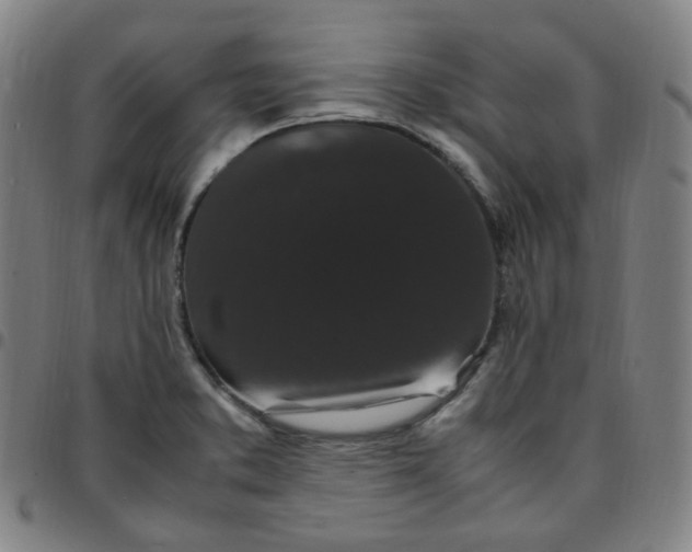 X0000097501373200803071752