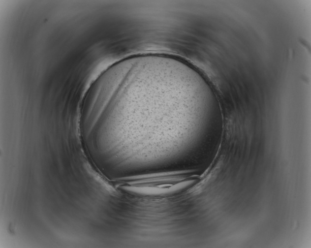 X0000097501374200803071752