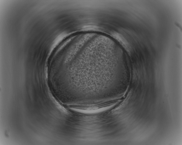 X0000097501376200803071752