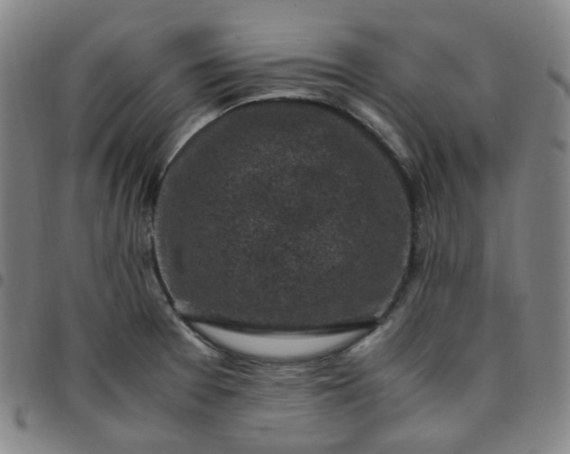 X0000097501377200803071752