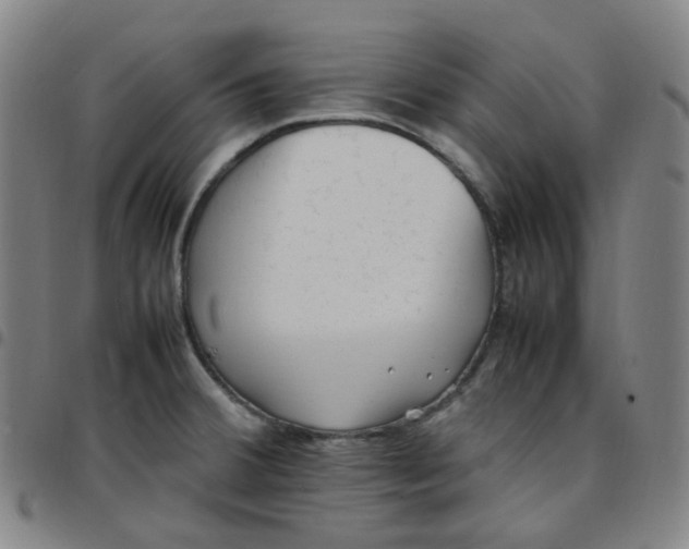 X0000097501380200803071752