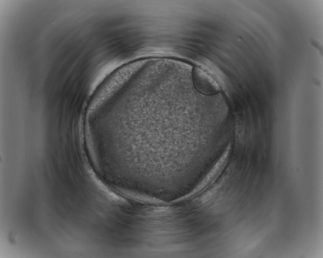 X0000097501382200803071752