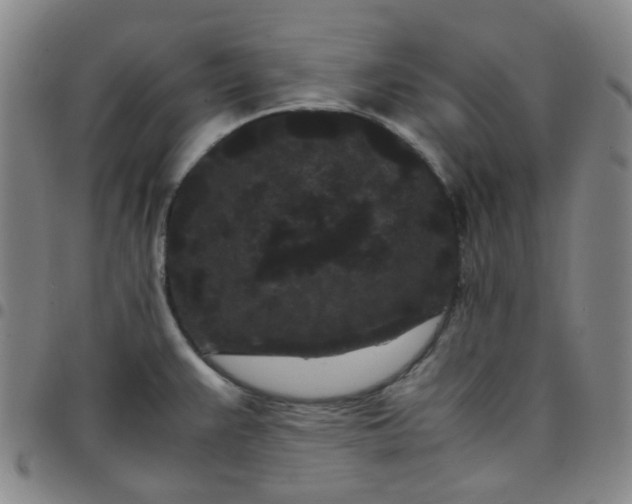 X0000097501383200803071752