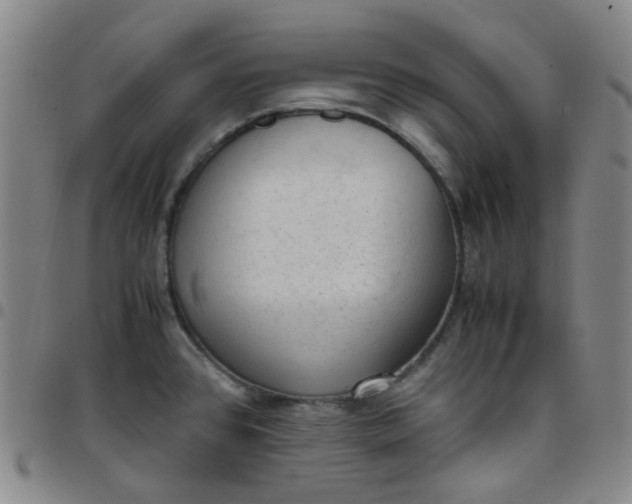X0000097501384200803071752