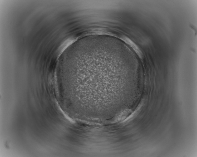 X0000097501385200803071752