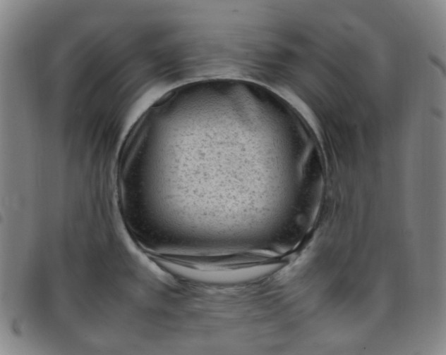 X0000097501389200803071752