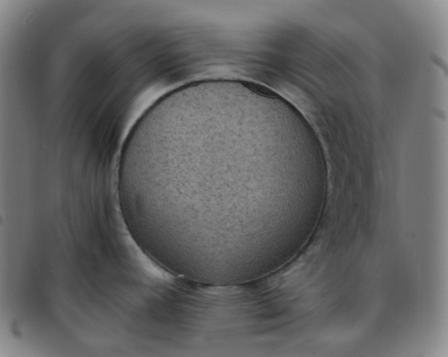 X0000097501392200803071752