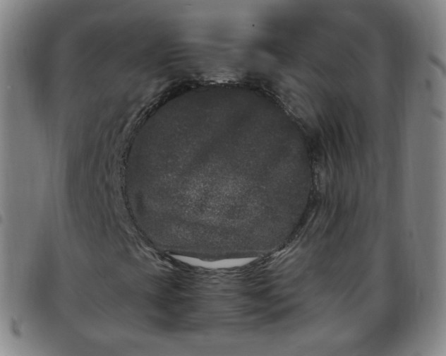 X0000097501393200803071751
