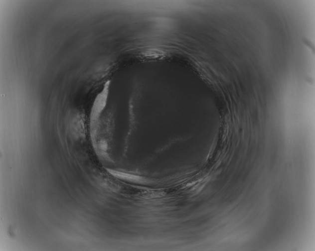 X0000097501394200803071751
