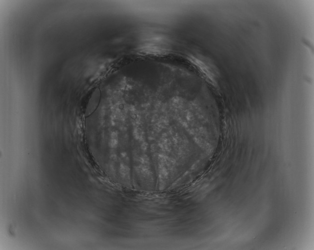 X0000097501397200803071751