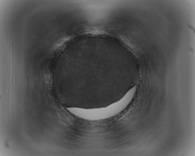 X0000097501398200803071751
