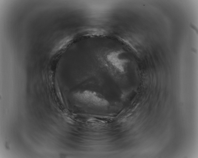 X0000097501399200803071751
