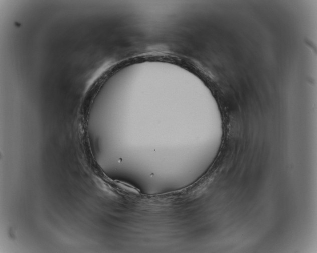 X0000097501400200803071751