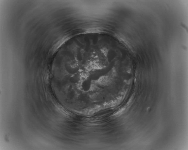 X0000097501401200803071751