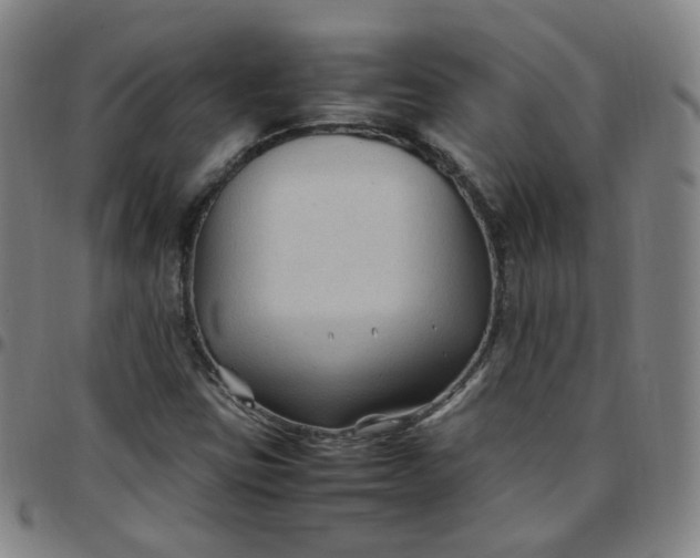 X0000097501403200803071751