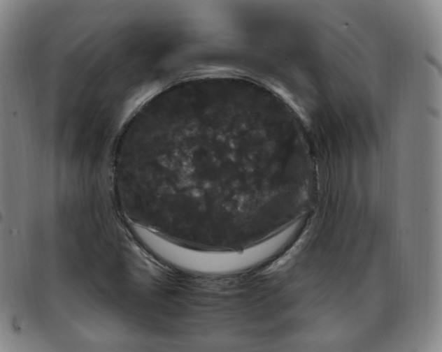 X0000097501405200803071751