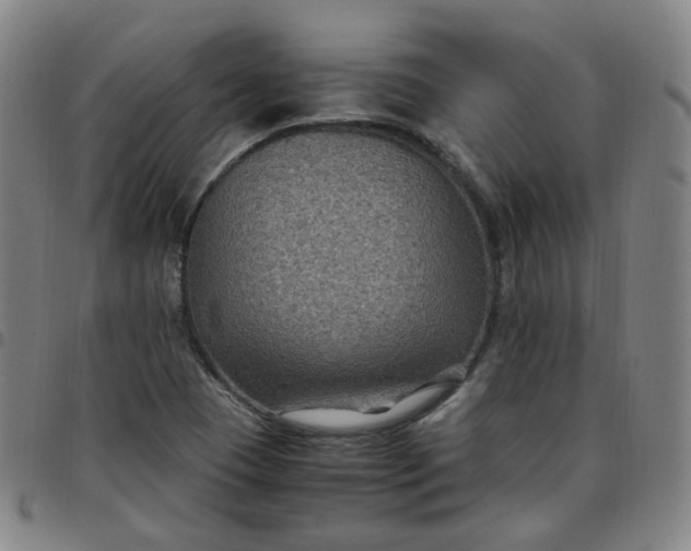 X0000097501409200803071751