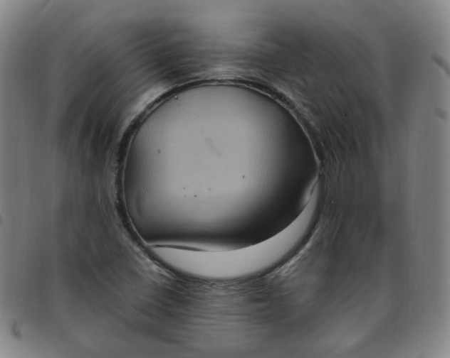 X0000097501410200803071751
