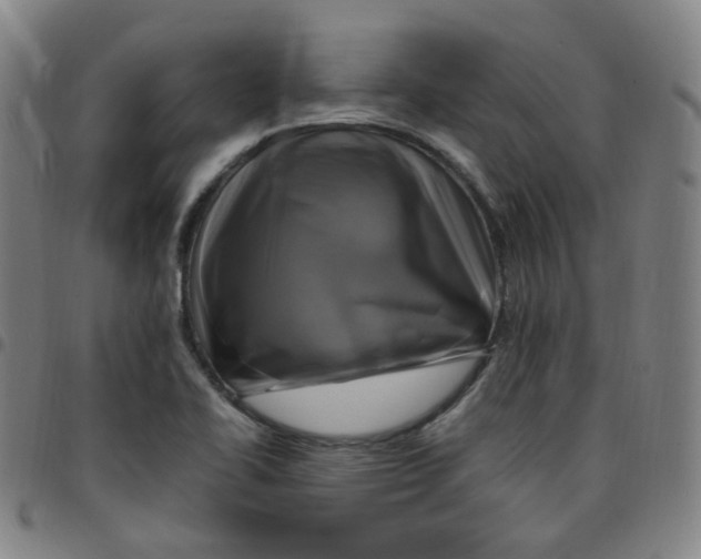 X0000097501414200803071751