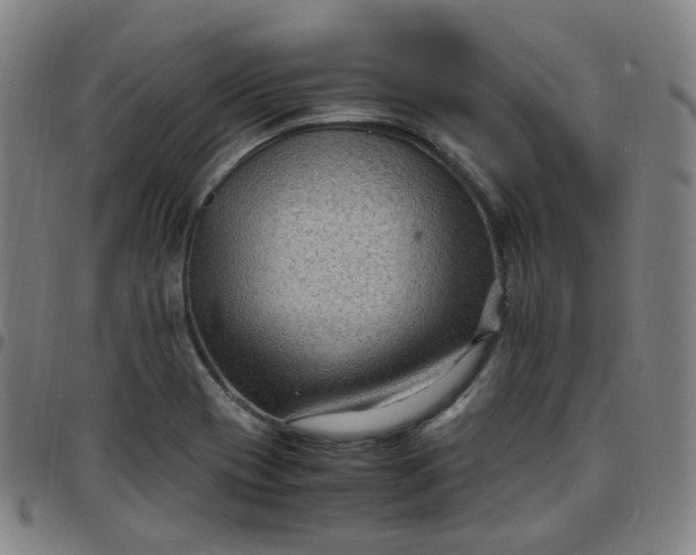 X0000097501417200803071751