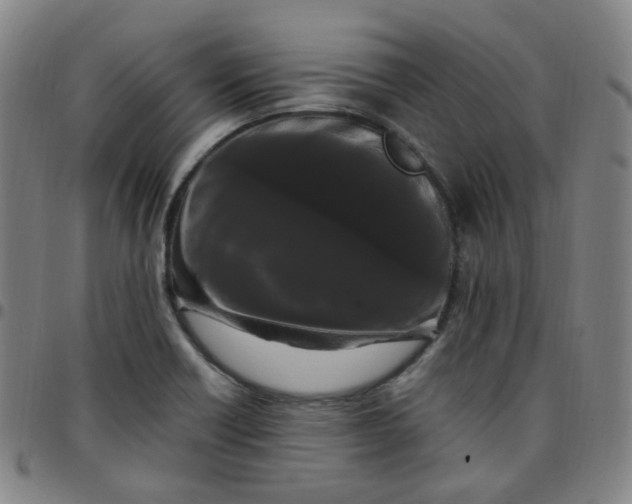 X0000097501418200803071751