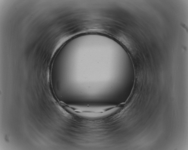 X0000097501420200803071751