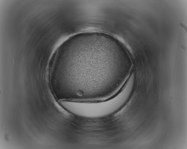 X0000097501421200803071751